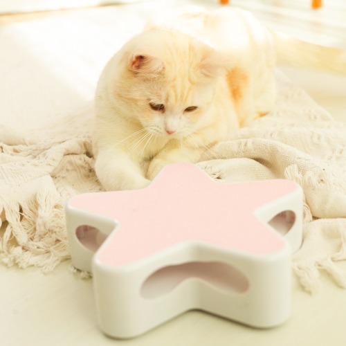 옥희독희 별의별 고양이장난감